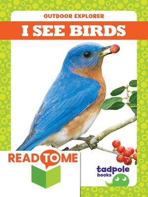cover image of I See Birds